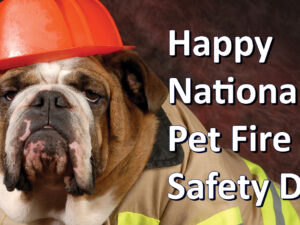 National Pet Fire Safety Day & Safety Tips